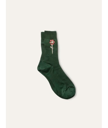 CHAUSSETTES ALICE CIPRESSO une grave pollution 