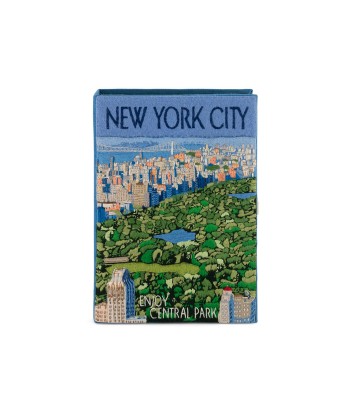 POCHETTE LIVRE NEW YORK CITY d'Europe débarque