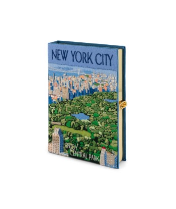 POCHETTE LIVRE NEW YORK CITY d'Europe débarque