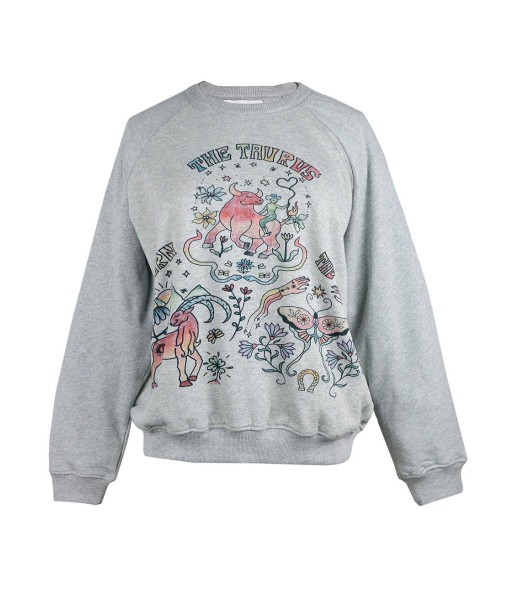 SWEATSHIRT ASTRO SIGNES TERRE solde