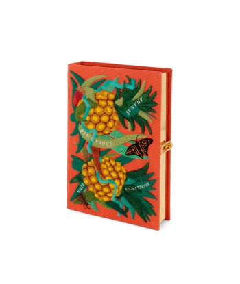 POCHETTE LIVRE ANANAS pas chere